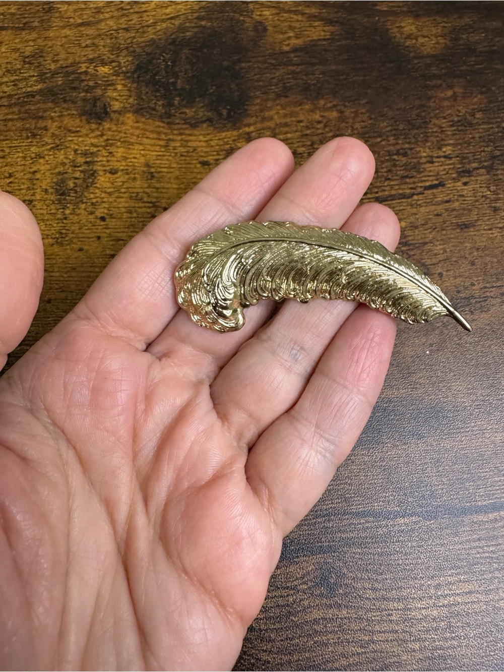 Sarah Coventry Gold Tone Feather Brooch - Lightweight